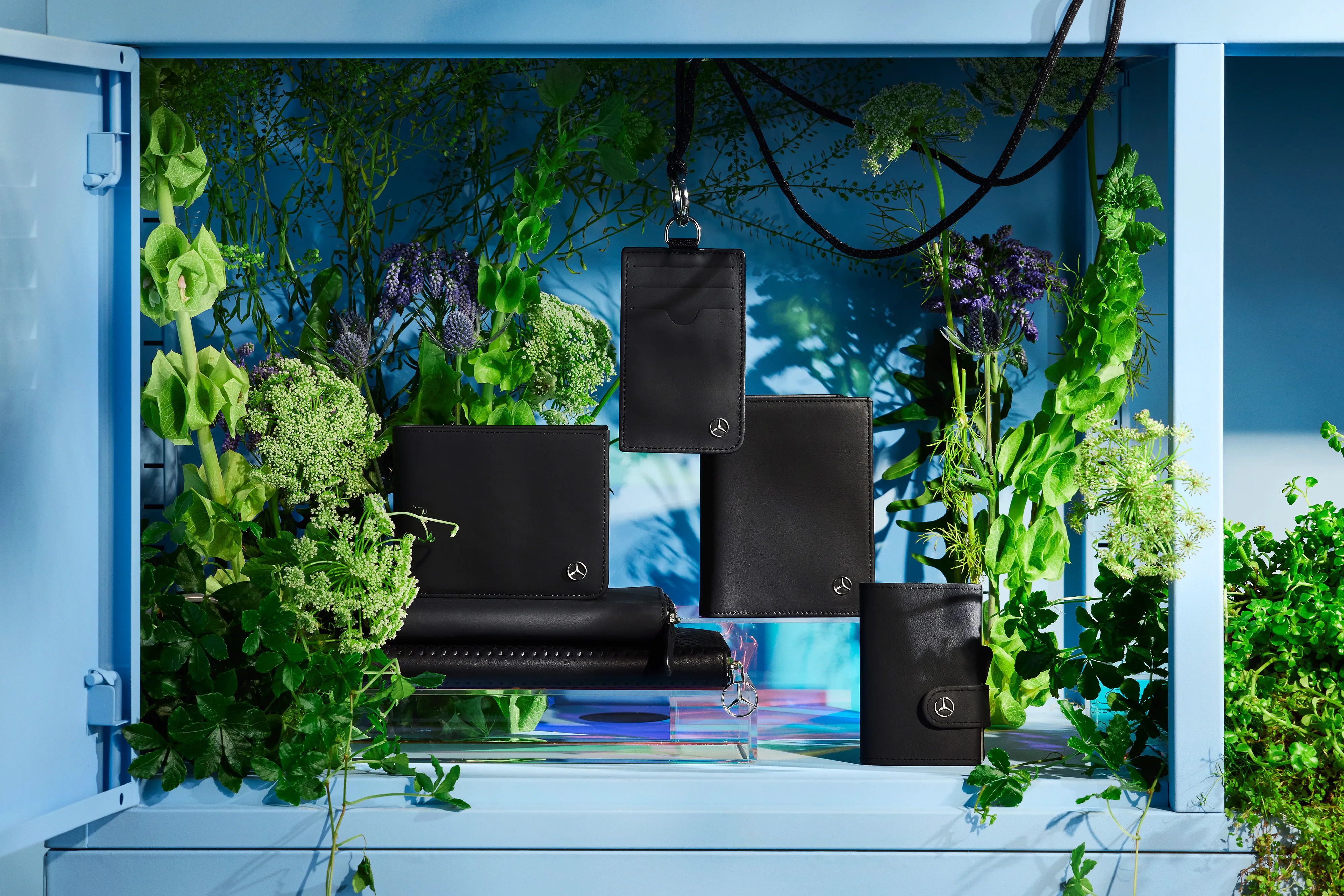 Collection Promotie